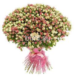 Букет из 101 бело-розовой кустовой розы, 60 см