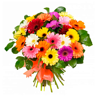 Цветы на 1 сентября купить с доставкой в Пушкино по лучшей цене