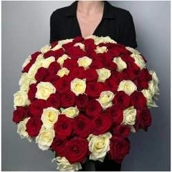 Микс бело-красной розы 50см 85 шт
